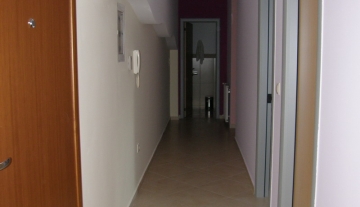 photo 006a.jpg